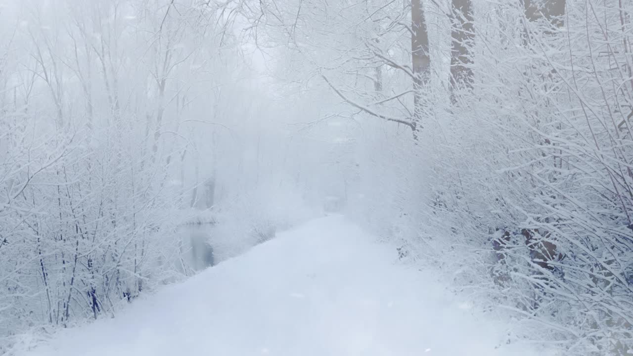 강을 따라 숲이 있는 길에서 겨울에 눈이 내리는 - 눈이 떨어지는 크리스마스 날 - 이한 겨울 풍경 배경