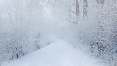 nieve en invierno en un camino boscoso a lo largo del río - día de navidad con nieve cayendo - idílico paisaje de invierno de fondo