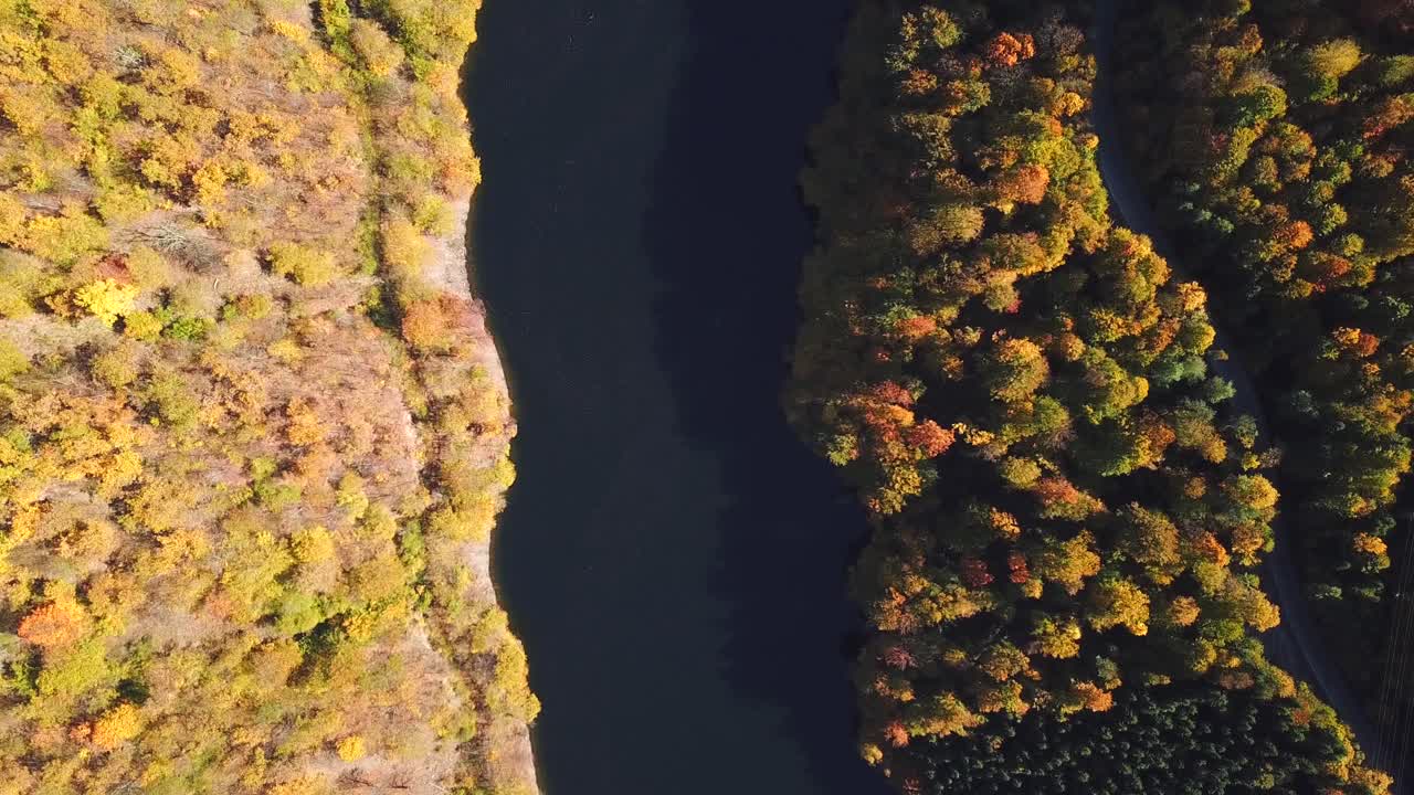 tiro de drone, vista superior, del lago tarnita, rumania, rodeado de coloridos árboles de otoño