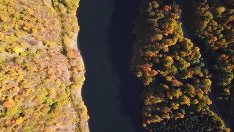Drone-shot,-top-view,-of-lake-Tarnita,-Romania,-surrounded-by-colorful-autumn-trees