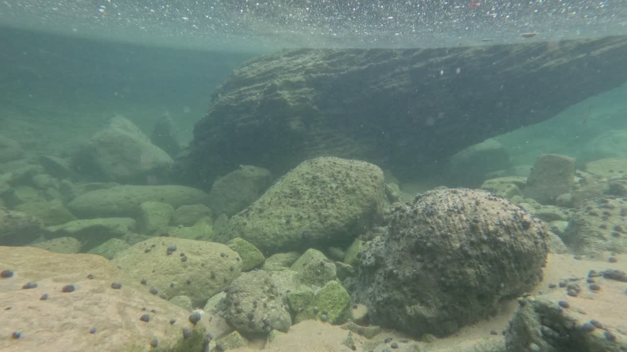 Klippebassiner og undervandsscener på Mornington Peninsula