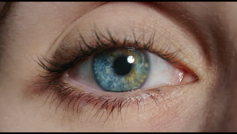 macro de cerca ojo azul mirando emoción temerosa belleza natural