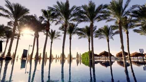 sunrise over the pool with palm trees next to the red sea in egypt