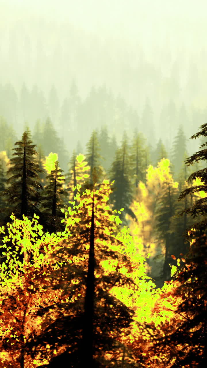 Vibrant autumn forest with misty hills illuminated by soft sunlight