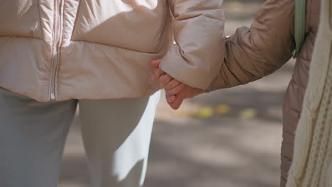 close up of adult holding child hand walking along leaf strewn path, warm padded jackets and knit scarf visible, autumn leaves on ground blurred background