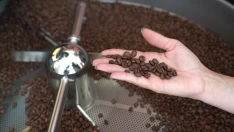 Coffee-beans-roasting-machine-with-female-Roastmaster-checking-the-roasted-batch-by-hand,-Close-up-shot