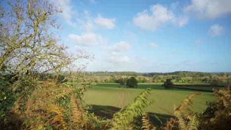 still autumn country field in rural england