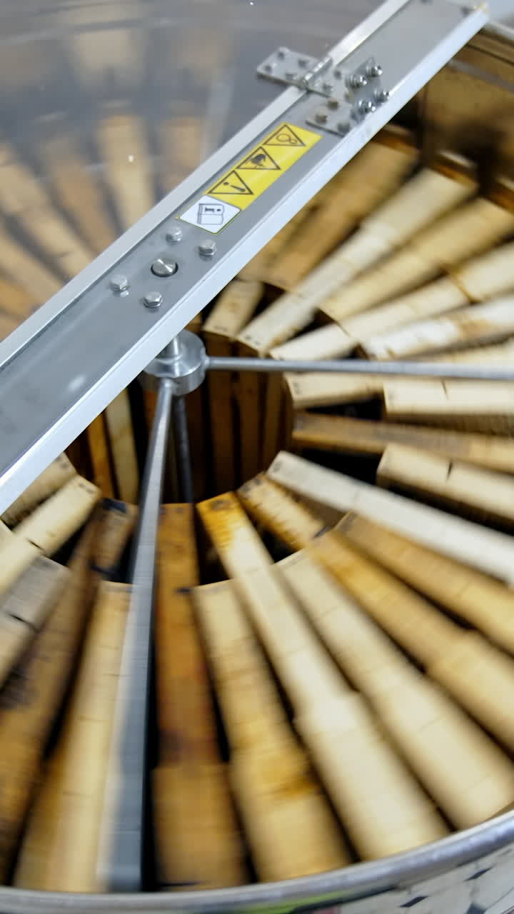 Factory apiarist working with wooden beehives. Handsome man working with honey wooden frame