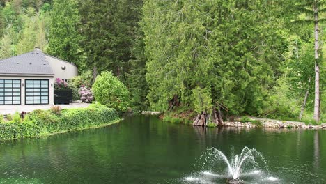 Little-house-by-the-lake-in-the-middle-of-the-forest