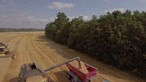 Vista-Aérea-De-Una-Cosechadora-Descargando-Trigo-En-Un-Remolque-De-Tractor-En-Un-Campo-De-Trigo.