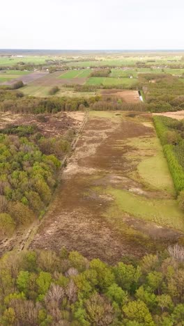 aerial view of a heath and forest landscape