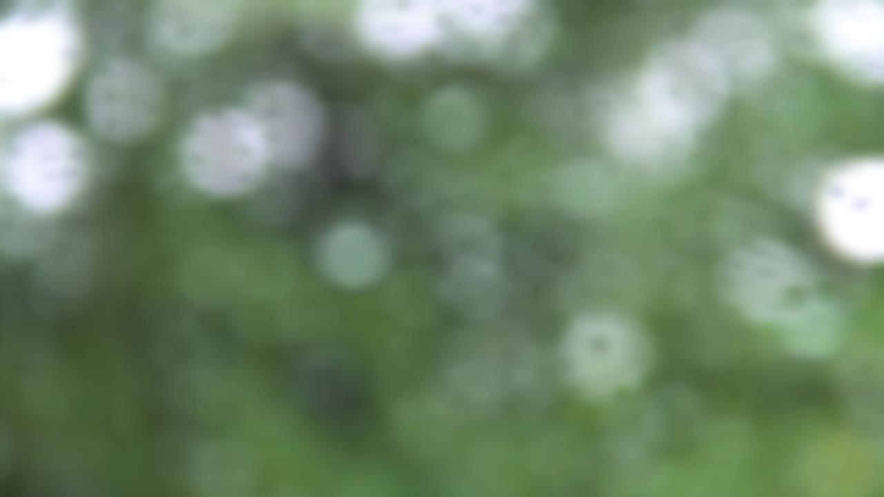 closeup de gotas de agua de lluvia en el exterior de la ventana de vidrio. gotas de aguas de lluvia corriendo hacia abajo en fondo verde.