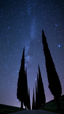 starry night road with cypress trees