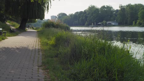 the park path overlooking the pond in warsaw's skaryszewski park