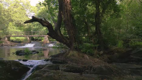 Ruhige-Natur-Mit-Einer-Kleinen-Brücke-über-Den-Fließenden-Fluss-In-Refugio-De-Verdes,-Coristanco,-A-Coruña,-Spanien