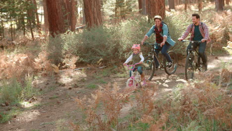 Orgullosos-Padres-Varones-Y-Su-Joven-Hija-Pasan-En-Bicicleta-Por-El-Bosque