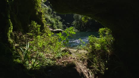 Looking-out-from-cave-with-natural-New-Zealand-vegetation-towards-calm-hidden-lake-on-sunny-day