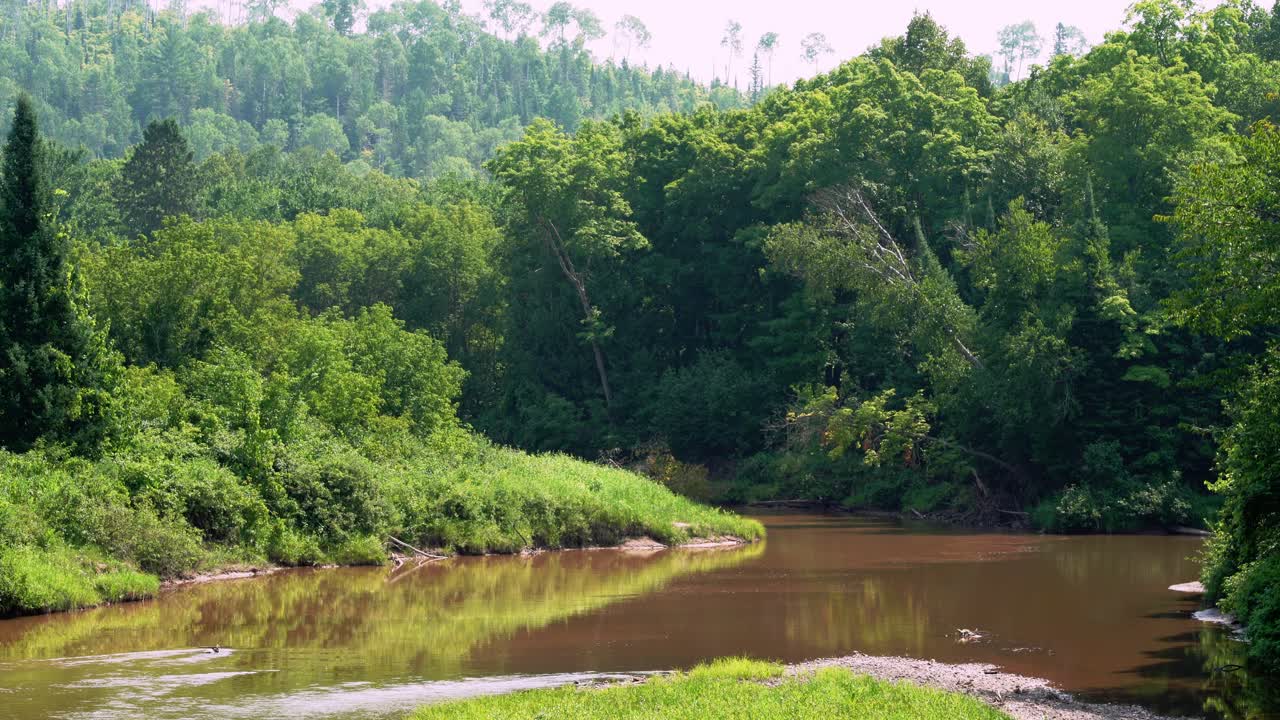 A Wide River Winding through the Green Forest