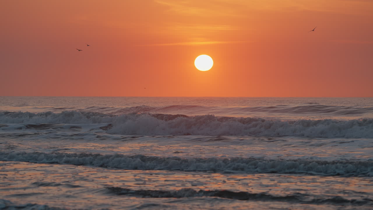 힐턴 헤드 아일랜드 해변에서 해가 뜨고, 멀리서 태양이 보이고, 바다의 물결, 오렌지색 하늘, 새들이 보입니다.