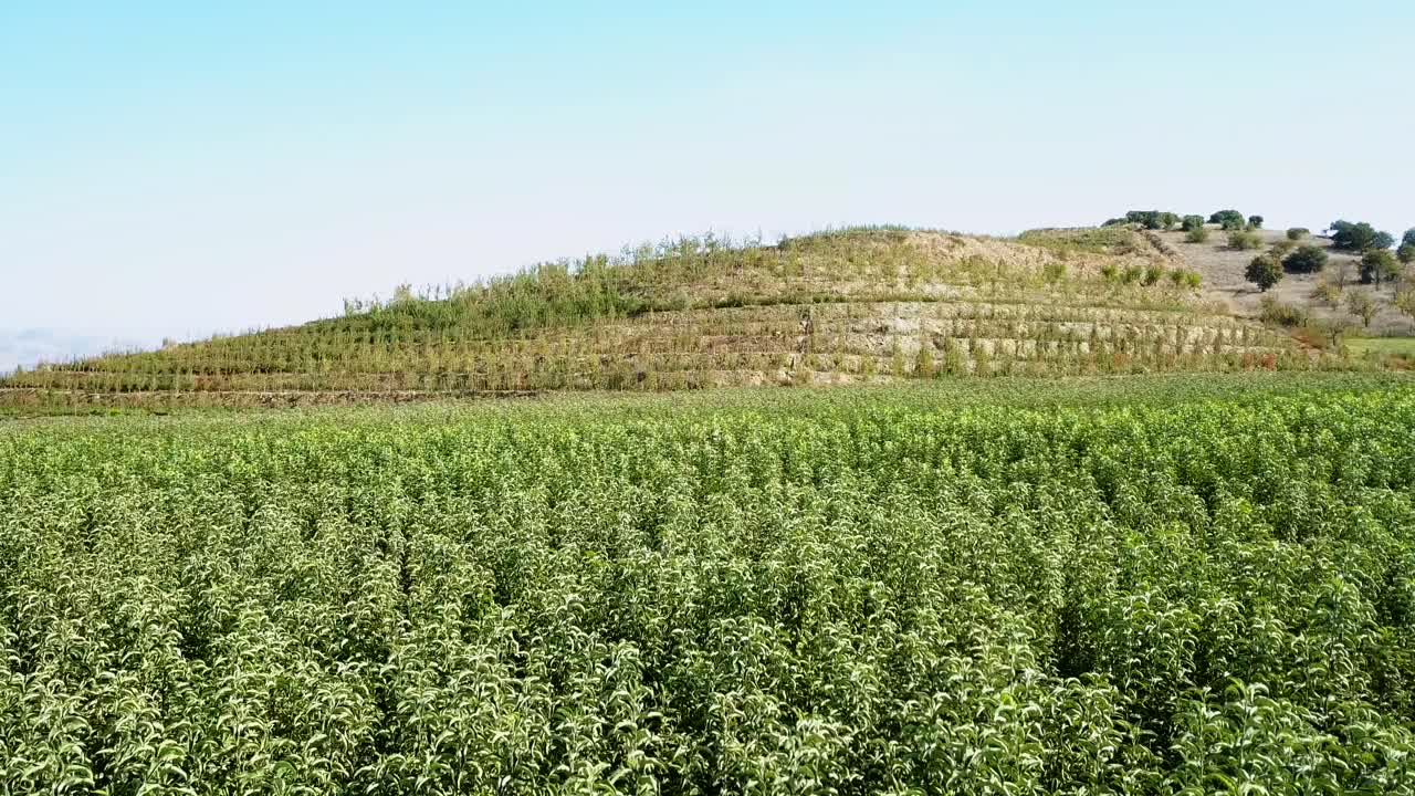 드론으로 사과 보육원 촬영