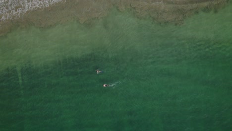 Snorkelling-couple-on-a-tropical-Caribbean-beach-in-Tobago-aerial-ascending-view