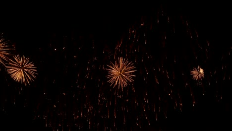 the fireworks in the night sky