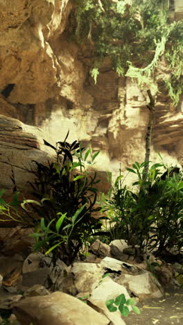 Exploring a sun drenched canyon with lush greenery and hidden wonders
