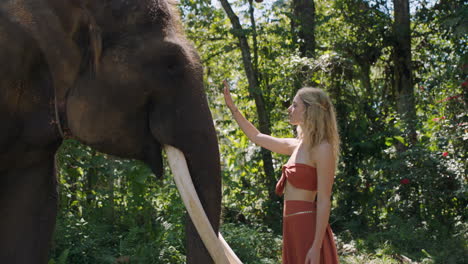 Mujer-Natural-Tocando-Elefante-En-La-Selva-Acariciando-A-Un-Animal-Mostrando-Afecto-En-El-Santuario-Del-Zoológico-4k