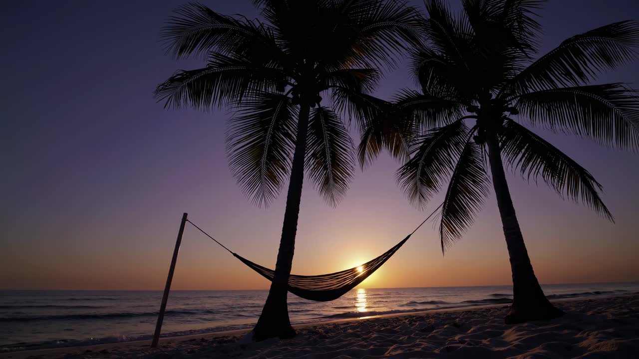Silhouette of a hammock between palm trees at sunset, captured from a low angle