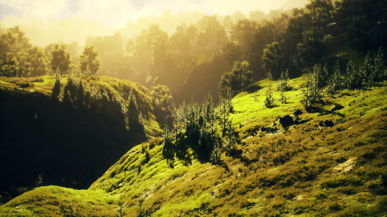 Misty sunlight illuminating green hills and trees in a tranquil landscape