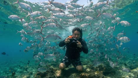 an underwater photographer captures the beauty of marine life surrounded by a school of fish in a vibrant ocean environment