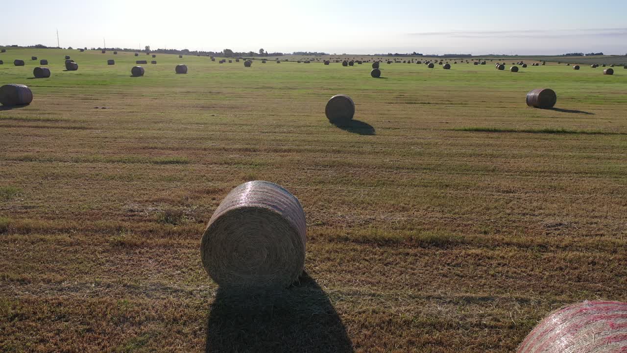 fardos de heno en un campo