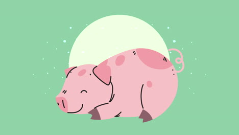 cute pig mascot sleeping animation