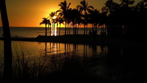 Tropical-sunset-in-Florida-Keys-with-beach,-palm-trees-silhouetted-and-reflecting-off-water
