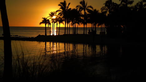 puesta de sol tropical en los cayos de florida con playa, siluetas de palmeras y reflejo del agua