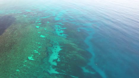 vista aérea del arrecife de coral y la costa en el caribe