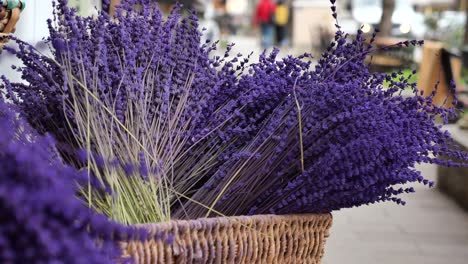 dry lavender bunches close up