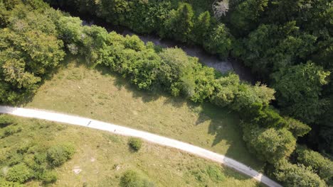 aerial view of a wood path in forestry area