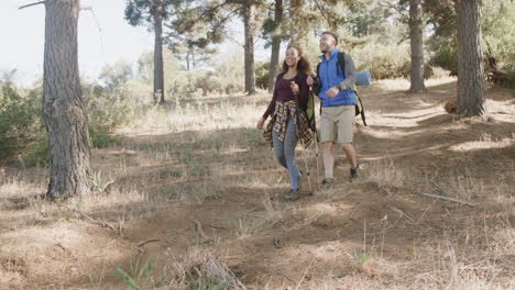 happy african american couple hiking with trekking poles in forest, slow motion