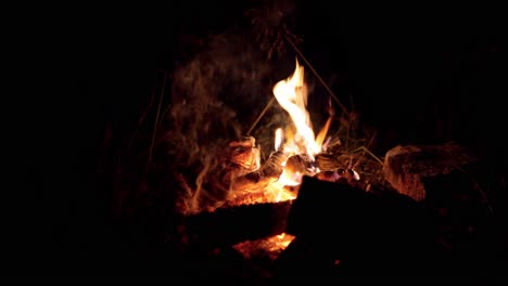 glowing flame of a campfire on a dark forest during winter