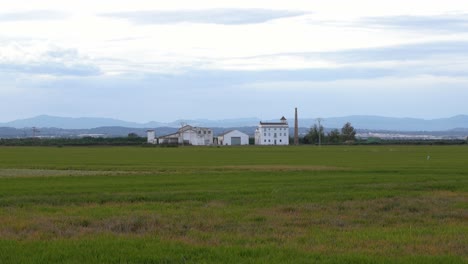 Pan-shot-of-green-grasslands-along-rural-countryside-in-Valencia,-Spain-on-a-cloudy-day