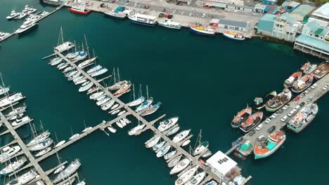 aerial view of a marina full of sailboats and fishing boats, with seagulls flying overhead