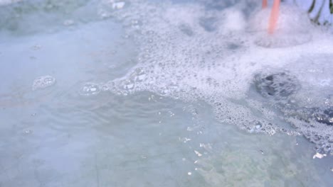 fish swimming in a bubbly pond surface