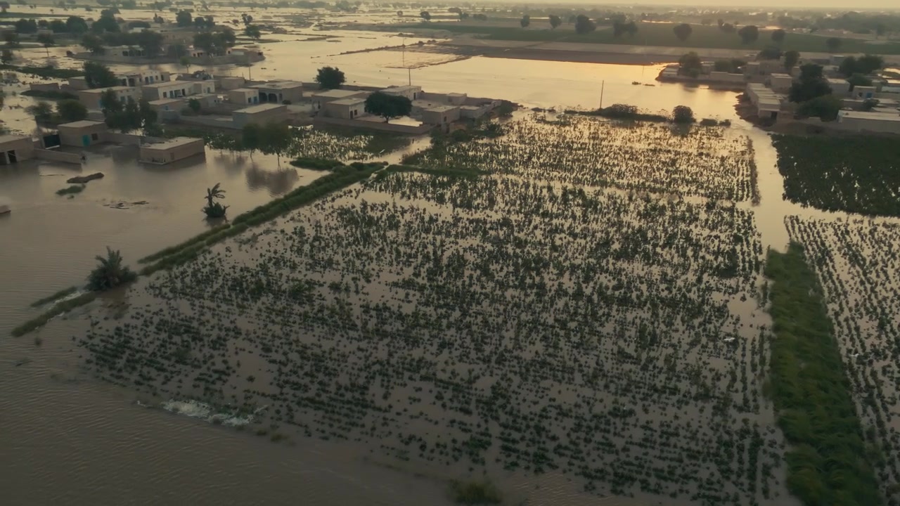 Terreni agricoli allagati e villaggio sommerso al tramonto dorato nel Punjab, Pakistan.