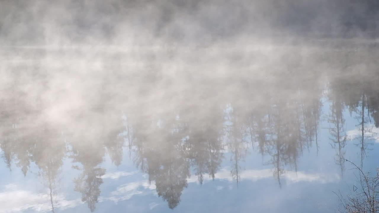 아한대 숲 나무는 아침 잔잔한 물에 반영