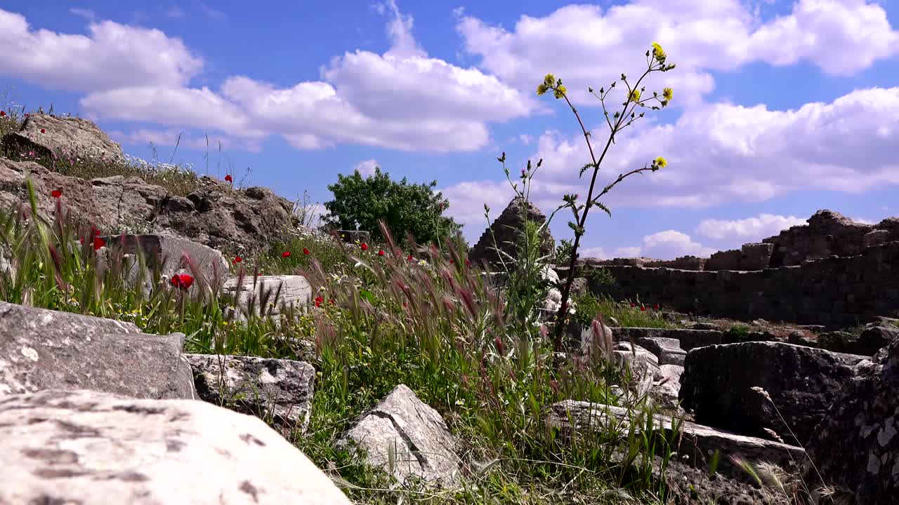 페르가몬 박물관, 터키, 베르가마