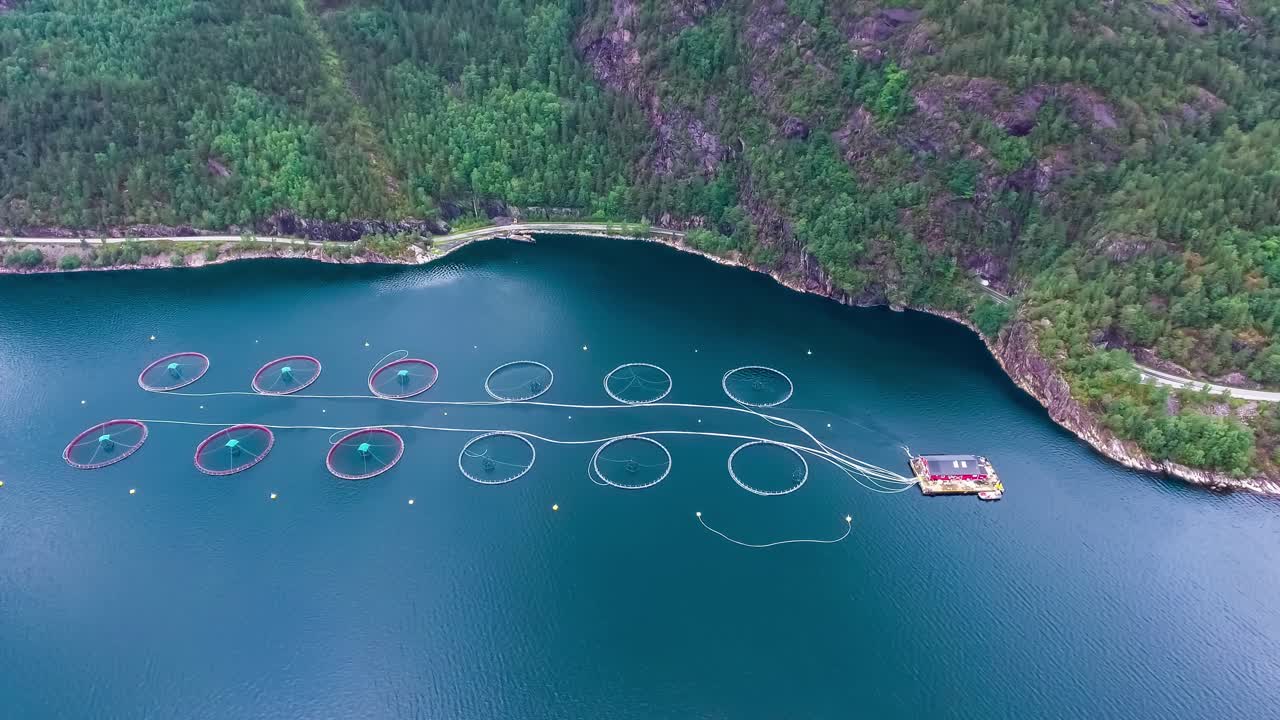 노르웨이에서 연어  ⁇ 시를 하는 공중 촬영