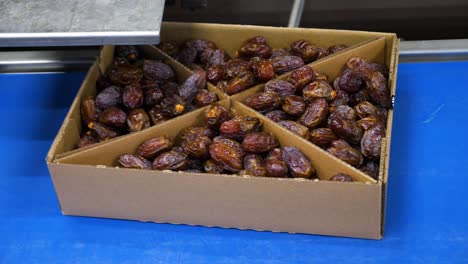 fresh-medjool-dates-packed-carton-boxes-on-conveyor-belt,-tracking-shot