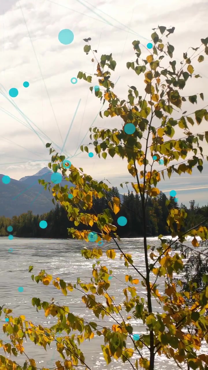 Video vertical: Viento agitando las hojas de los árboles, río brillando con puntos turquesa en movimiento, mostrando el otoño