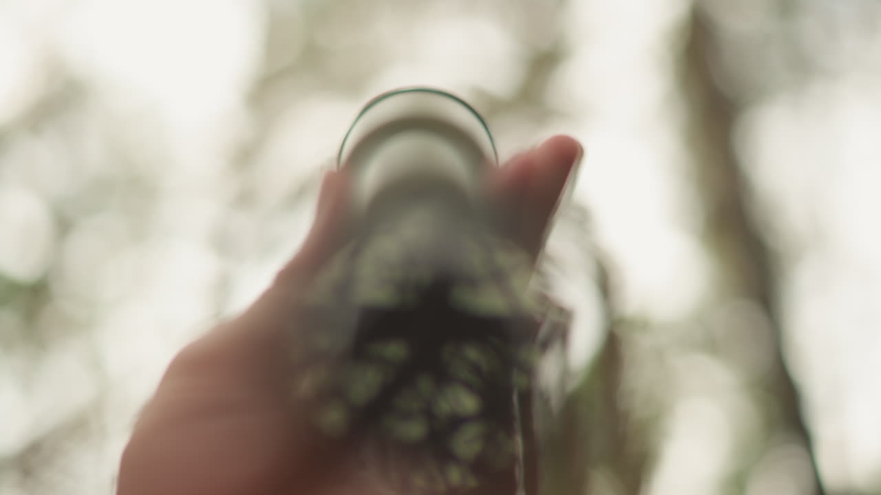white hand holding bottle against trees, forest canopy reflected in glass, soft bokeh, backlit sunlight filtering through leaves, hiker perspective and travel mood, close detail of palm and grasp